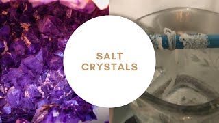 Salt Crystals Experiment [upl. by Eilraep]