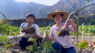 三种芋艿，品味三道美味芋艿，香气四溢，口感不错 [upl. by Seiber]