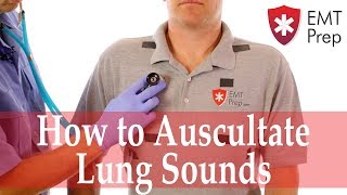 How to Auscultate Lung Sounds  EMTprepcom [upl. by Flore]