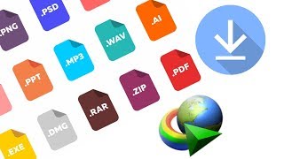 How to Download All Type Of File In IDM [upl. by Llemmart23]