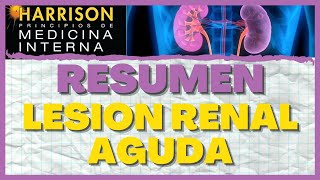 INSUFICIENCIA RENAL CRÓNICA  Síntomas y dieta [upl. by Hogen88]