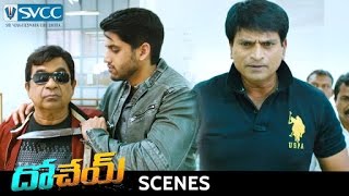 Dohchay Telugu Movie  Climax Scene  Naga Chaitanya  Kriti Sanon  Brahmanandam  Sapthagiri [upl. by Priest]