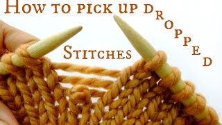 How to pick up a dropped stitch  Easy amp Quick Knitting Tutorial [upl. by Hinson463]