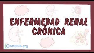 Fisiopatologia Renal Parte 3 Insuficiencia Renal Cronica [upl. by Beebe]