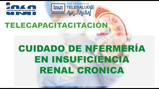 Insuficiencia Renal Síntomas Causas Diagnostico y Dieta [upl. by Anenahs822]