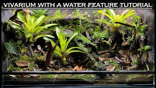 EPIC Vivarium With a Water Feature Bioactive Tutorial [upl. by Errecart534]