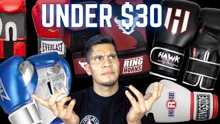 Best Affordable Boxing Gloves From Amazon  Review  Everlast Ringside Sanabul amp MORE [upl. by Eynahpets]