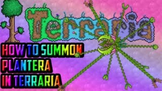 Terraria  How to summon Plantera 3steps [upl. by Offen]