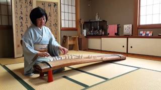 Sakura Sakura play on koto or Japanese harp by Keko Kanagawa in Kyoto Japan [upl. by Ttennaej]