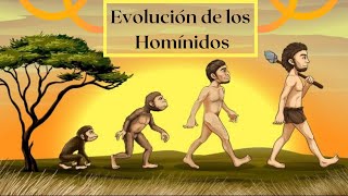 Evolución de los homínidos Un recorrido por el tiempo [upl. by Nonnac]