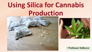 Using Silica for Cannabis Production [upl. by Dixil]