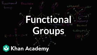 Functional groups  Properties of carbon  Biology  Khan Academy [upl. by Ayekal534]