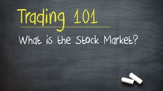 Trading 101 What is the Stock Market [upl. by Solnit269]