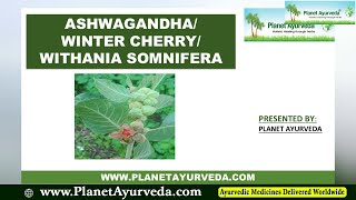 Best Ashwagandha in the World Withania somnifera Std Ext Health Benefits Uses Properties amp More [upl. by Ahab]