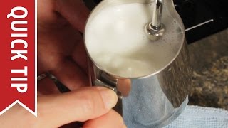 How to AutoFroth Milk for Lattes [upl. by Suoirad920]