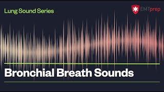 Bronchial Breath Sounds  EMTprepcom [upl. by Riaj896]