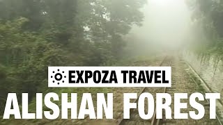 The Alishan Forest Railway Vacation Travel Video Guide [upl. by Deenya]