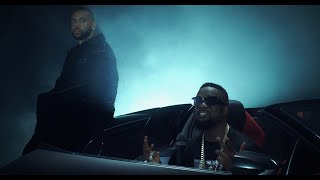 Sarkodie  Vibration ft Vic Mensa Official Video [upl. by Bradeord]