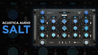 Acustica Audio Salt  Demo [upl. by Llekcir]