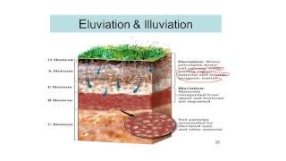 Process of Soil Formation Soil science 12 [upl. by Avehsile]