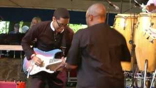 Hugh Masekela  2  LIVE at Afrikafestival Hertme 2012 [upl. by Aniraad]