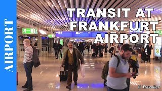 TRANSIT WALK AT FRANKFURT Airport FRA Terminal 1  Connection Flight Transfer Arriving amp Departing [upl. by Marijn]