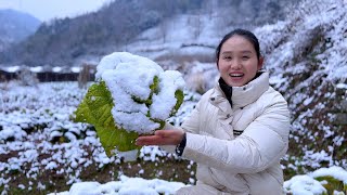 2024年的第一场雪，雪地挖一颗菜，做一锅热腾腾的美食 [upl. by Nolram176]